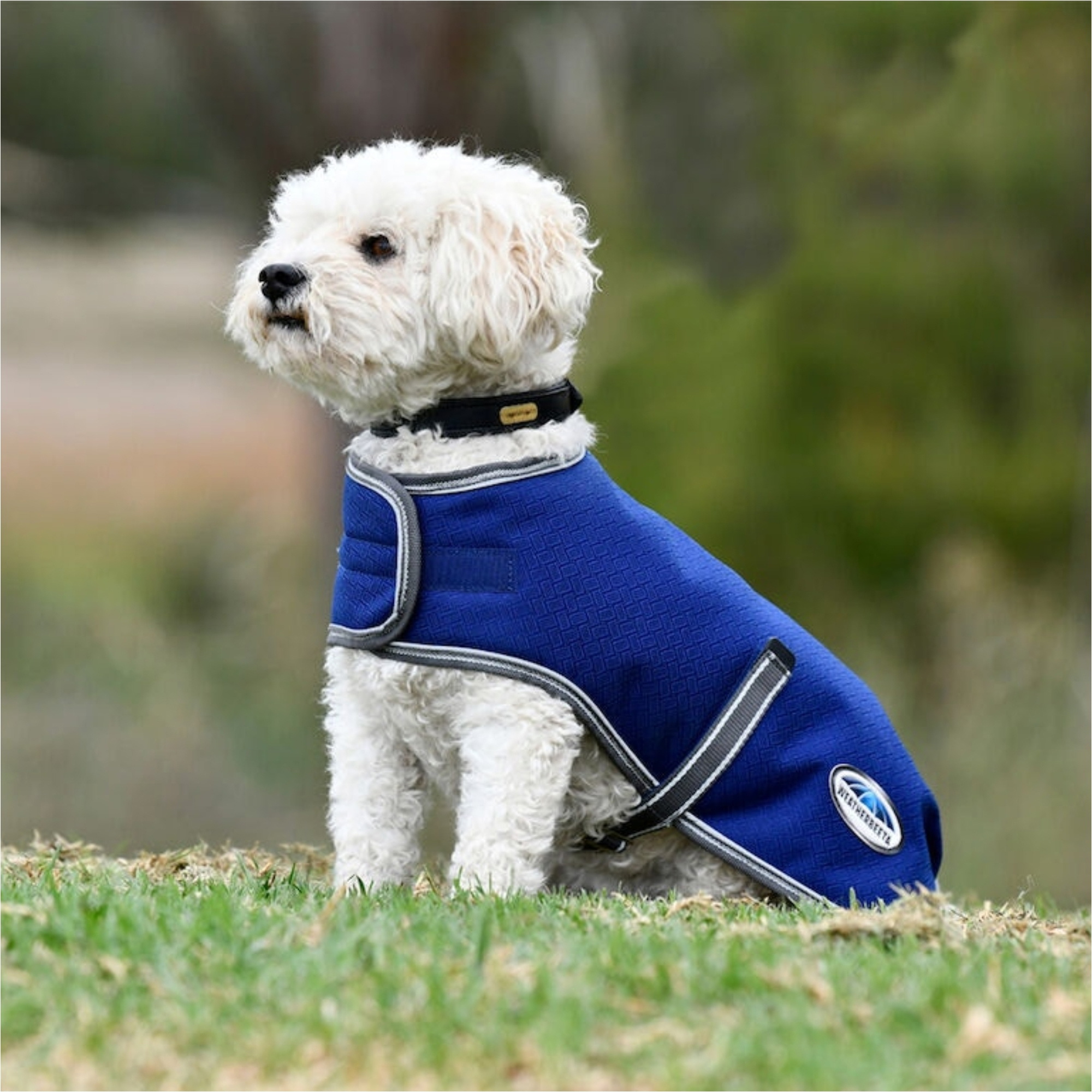 Weatherbeeta Comfitec Premier Free Parka Dog Coat - Dark Blue